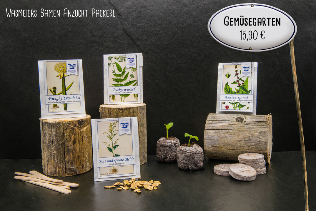 4_Gemuesegarten