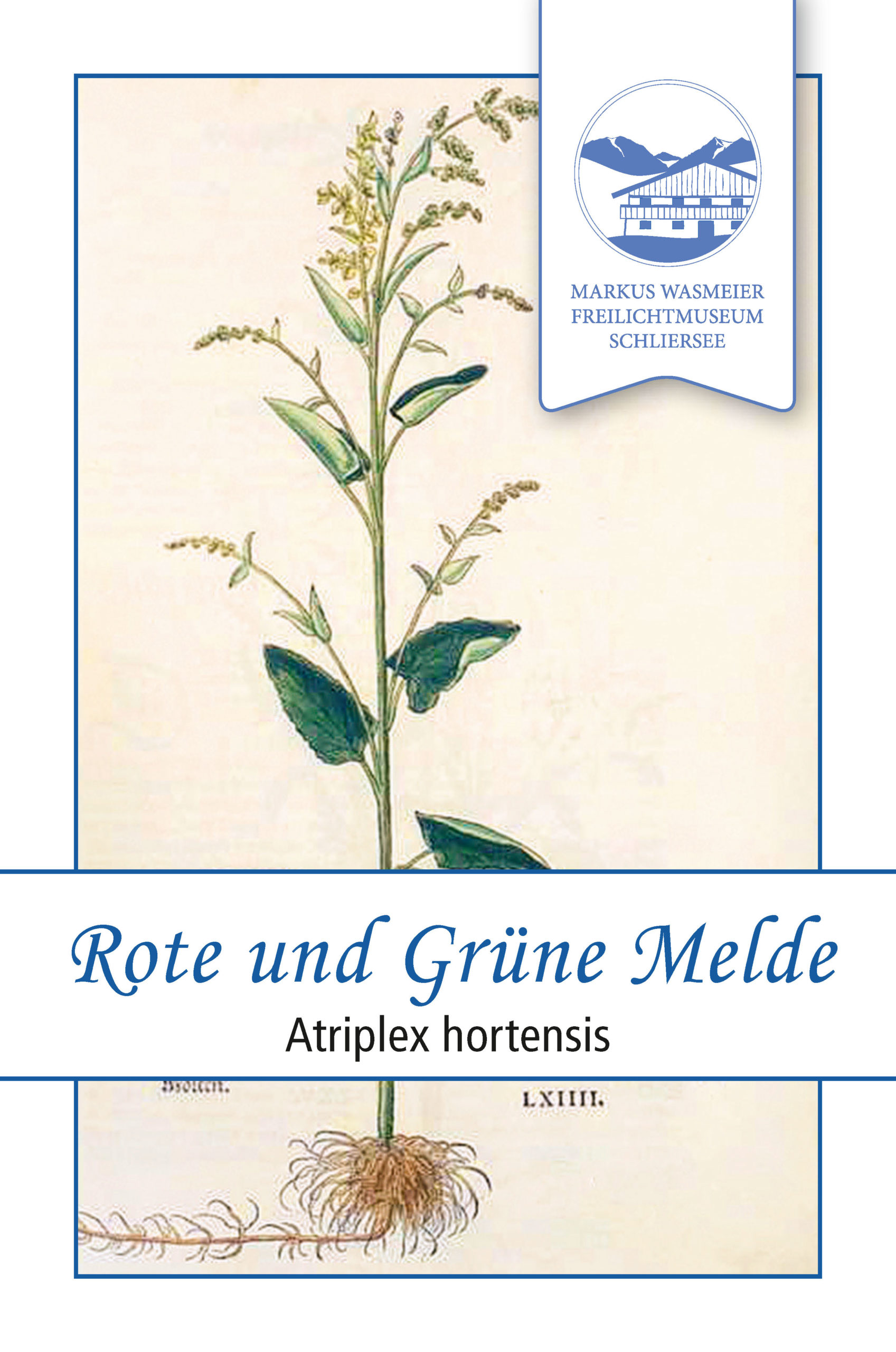 Wasmeier_Samentueten_Melde_15-scaled